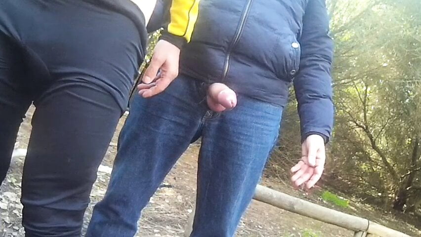 Toller Fick im Wald