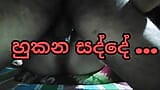 Sri lankan couple sex sound  api hukana sadde ahanna anna. snapshot 15