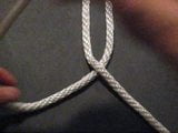 Box Knot snapshot 4