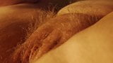 Sehr behaarte Blondine mit fleischiger Muschi in Nahaufnahme snapshot 1