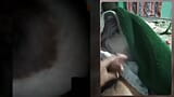 Ragazza sexy pakistana desi scopa durante la chiamata whatsapp dal vivo con il fidanzato snapshot 2