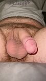 Soft and hard cock and big balls snapshot 9