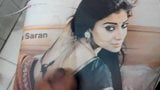 Shriya Saran - потрясающая snapshot 2