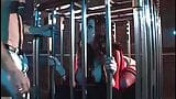 Gianna Michaels suce une bite dans une cage snapshot 6