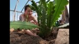 Nagi pracownik szklarni sadzący kaktusy snapshot 15