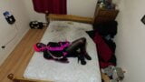 Sissy mucama auto esclavitud armbinder hogtied snapshot 17