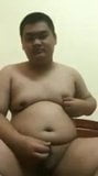 Chubby Asian Baby snapshot 7