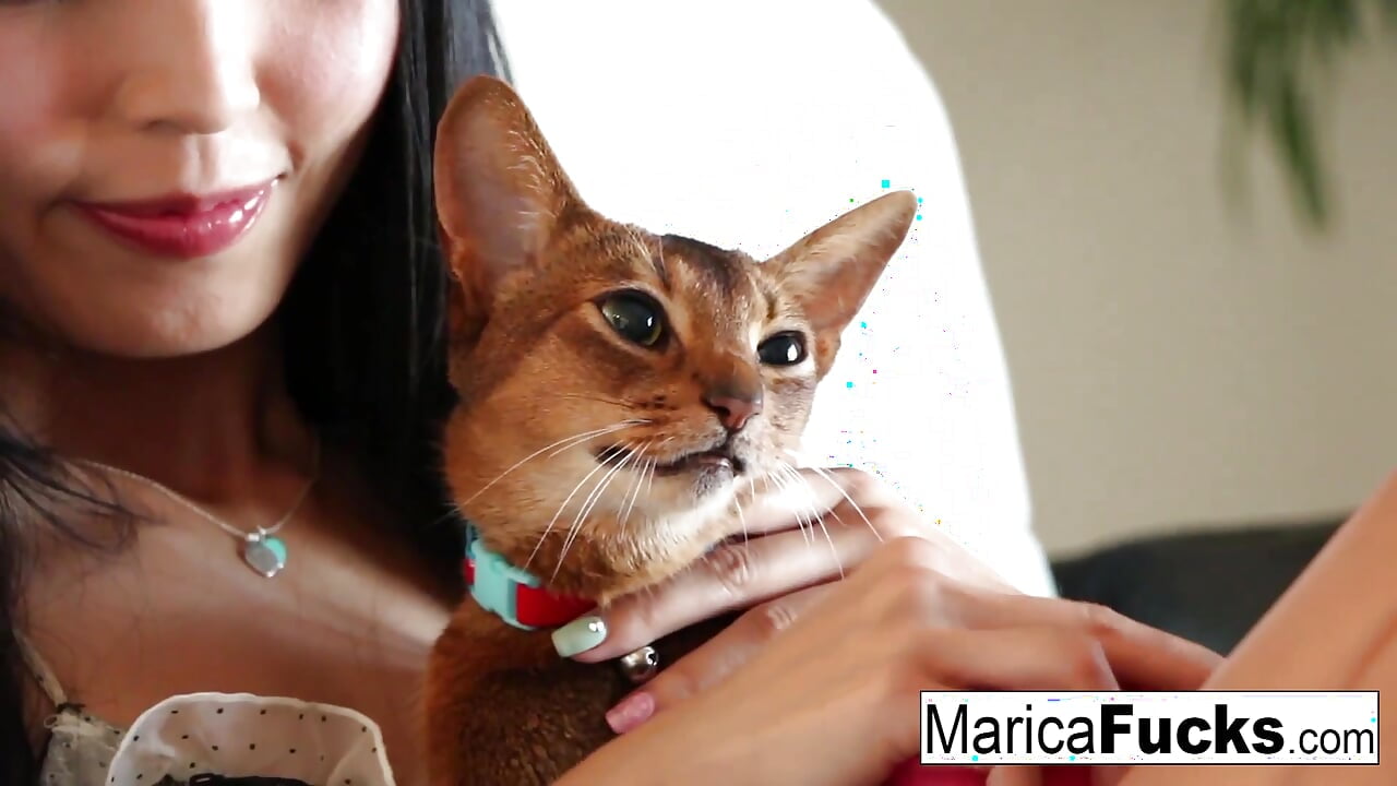 Японскую звезду Marica имеет черный член