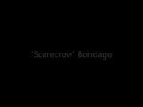 'Scarecrow' Bondage snapshot 1