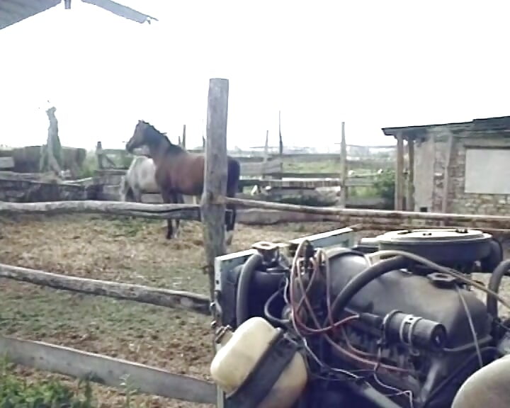 Superb German babe fucked on the farm