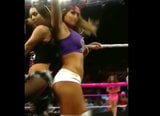 WWE, Nikki Bella, essayez de ne pas branler (hommage au sperme) snapshot 14