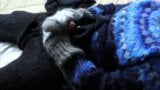 स्वेटर बुत नीला मोहायर टर्टलनेक जम्पर हस्तमैथुन और वीर्य निकालना snapshot 8