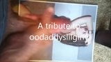 Tribute to oodaddyslilgirly! snapshot 1