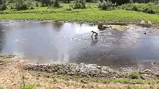 Nude Bathing in Derzha-river - Shick Shack Shock: Amateur Porn ...