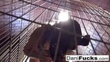 Dani daniels una cagna intrappolata in una gabbia per cani snapshot 15