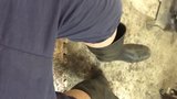 Wellington çizmeleri kötü kokulu çoraplar snapshot 8