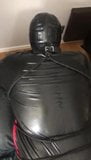 Rubberpig in bondage with Pigplug snapshot 4