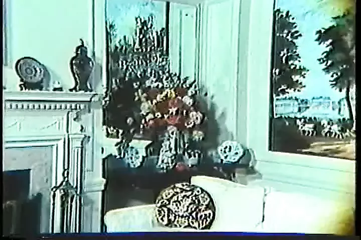 Carol Connors Collection