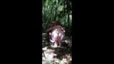 Milf BBW fucked in a park snapshot 10