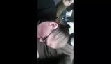 blowjob with hitchhicker girl snapshot 2