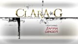 Zafira + gingembre b., Chatte hongroise magnifique snapshot 1