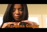 Savanna Ginger and Havanna Ginger snapshot 1