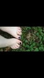 Toes in grass 7-9-2016 snapshot 1