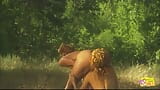 Blondes in the wild west in an open field get naked and have lesbian sex snapshot 15