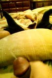 Absolutely massive cumshot from edging and masturbation snapshot 4