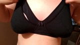 Nuovo reggiseno + bonus - sborrata su culo e tette e pancia incinta snapshot 6