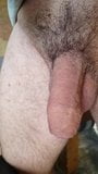 Hairy Flaccid Small Uncut Cock snapshot 2