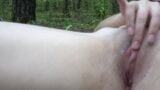 Ich fing mit der Masturbation bei einem Picknick im Wald an snapshot 6