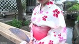 Japanese Hot Spring - AOI snapshot 1