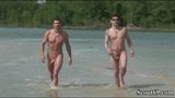 cocks at nudist beach snapshot 1