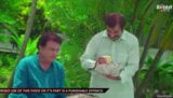 Angregi baba aflevering 1 snapshot 10