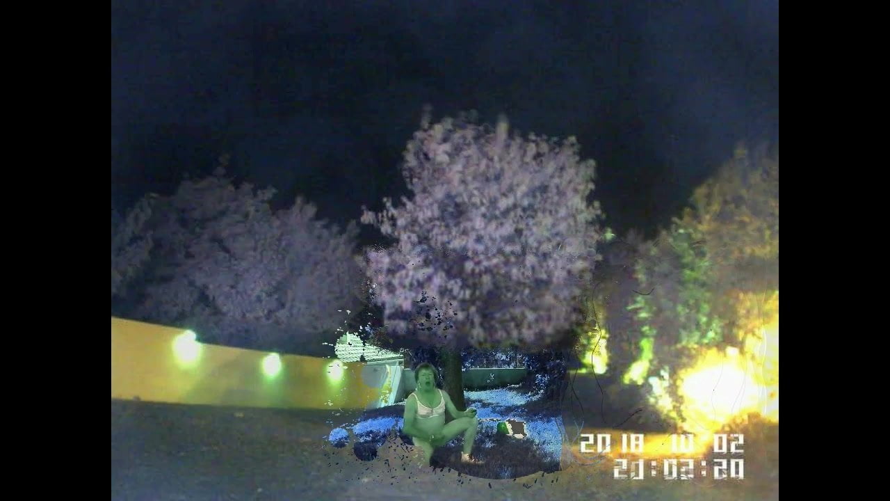 La lope de nuit