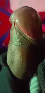 Jungle Me Mangal Riya Rajput Prank Sex Video Flashing Penis: Gay ...