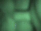 night vision creampie wife snapshot 1