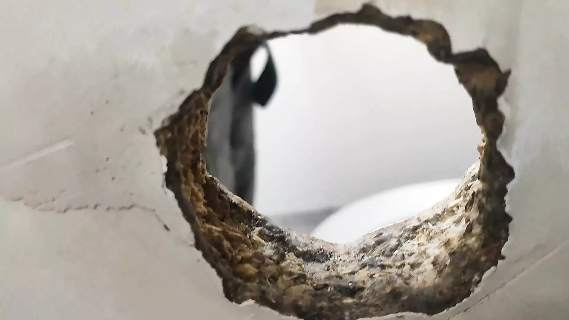 Real gloryhole . Gliry hole in public toalett | xHamster