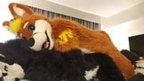 play fursuit with friend snapshot 15