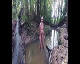 Naked In The Stream snapshot 10