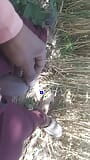 Sugarcane field land shook outdoor sex Hindi sex Indian snapshot 2