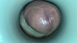Lange, harte Muschi von Sperma-Cam-Mann geritten snapshot 15