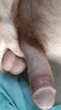 Hairyartist -cum se pappa kommer i morse snapshot 7