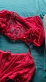 New Christmas lingerie for my wife snapshot 4