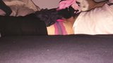 Sissy lissa i sängen med trosor och behåar! snapshot 4