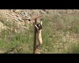 crucified women - modell Alina part 1 snapshot 8