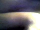 Amateur-blowjob verissimo snapshot 5