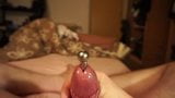 ejaculation thru penis plug snapshot 1