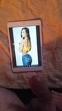 WWE Diva Aj Lee con omaggio snapshot 1